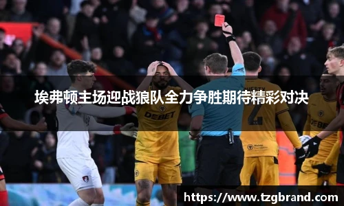 埃弗顿主场迎战狼队全力争胜期待精彩对决